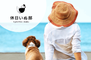 「休日いぬ部」で紹介されました！